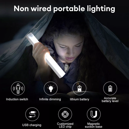 LED Induction Light - Motion Sensor