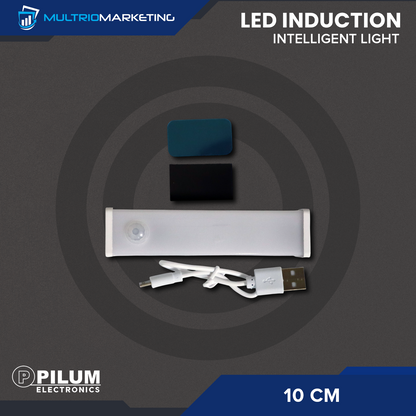 LED Induction Light - Motion Sensor