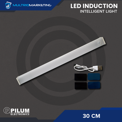 LED Induction Light - Motion Sensor