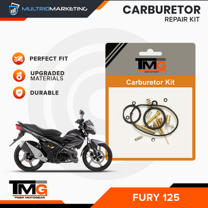 Carburetor Repair Kit - Fury 125