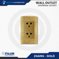 Wall Outlet - Universal Socket - Gold